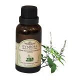 Tinh dầu Hương Nhu EVAROSA chai 30ml