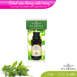 Tinh dầu Hương Nhu EVAROSA chai 30ml