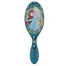 A003. Lược chải tóc WB OGL DTNGLR DISNEY LOVE - ANNA AND ELSA