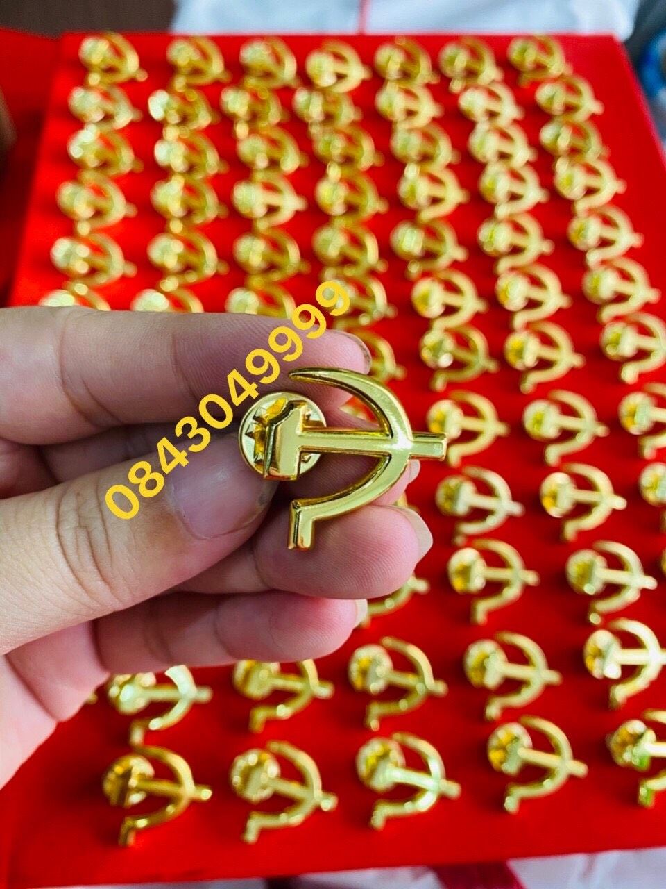 Huy Hiệu Đại Hội Đảng mạ vàng 02