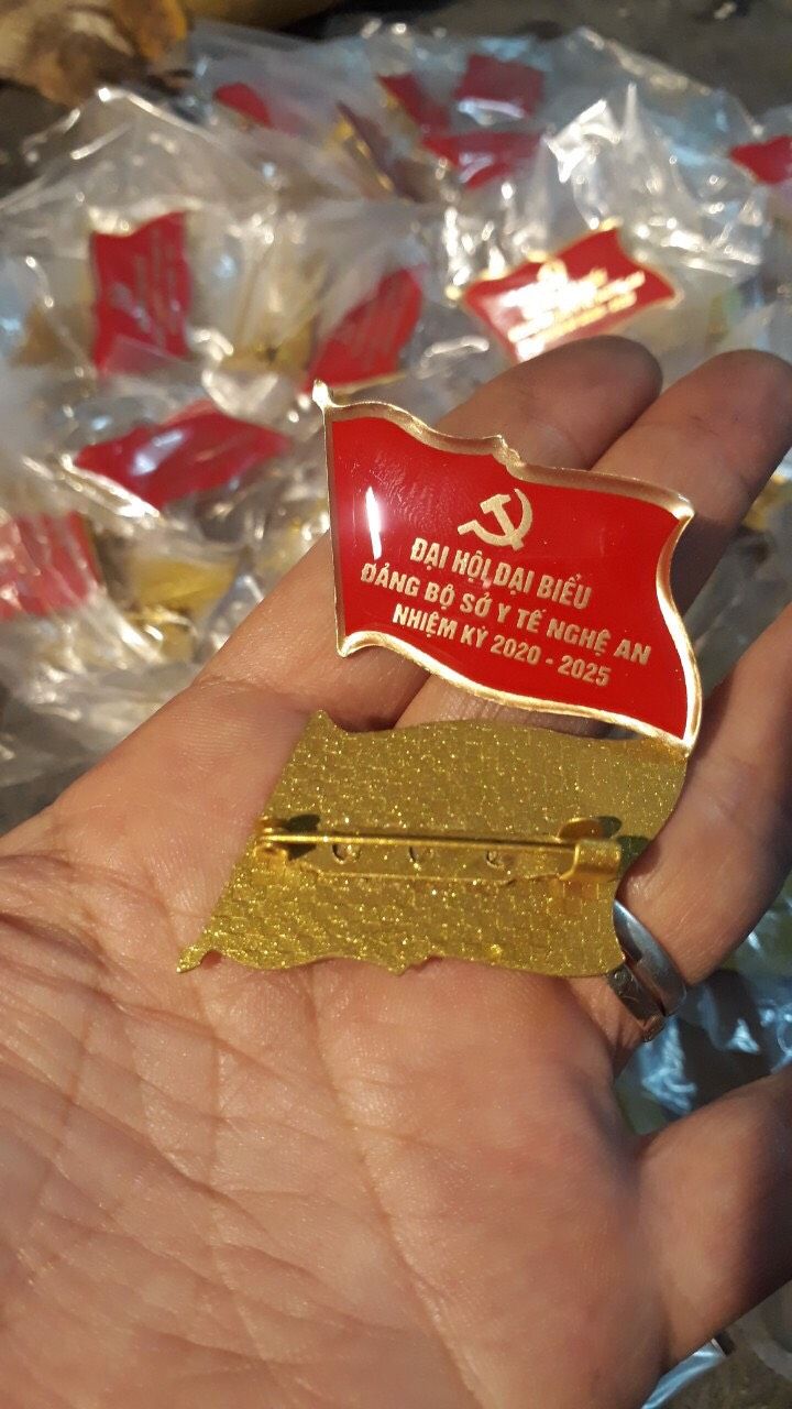 Huy Hiệu Đại Hội Đảng mạ vàng 01