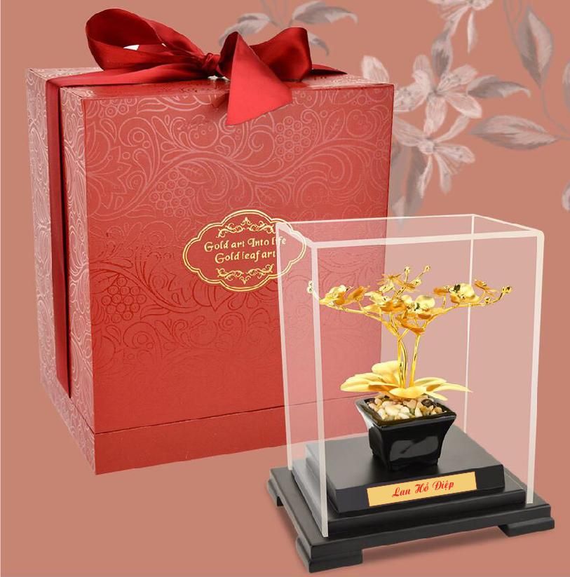 Chậu Lan Mạ Vàng
