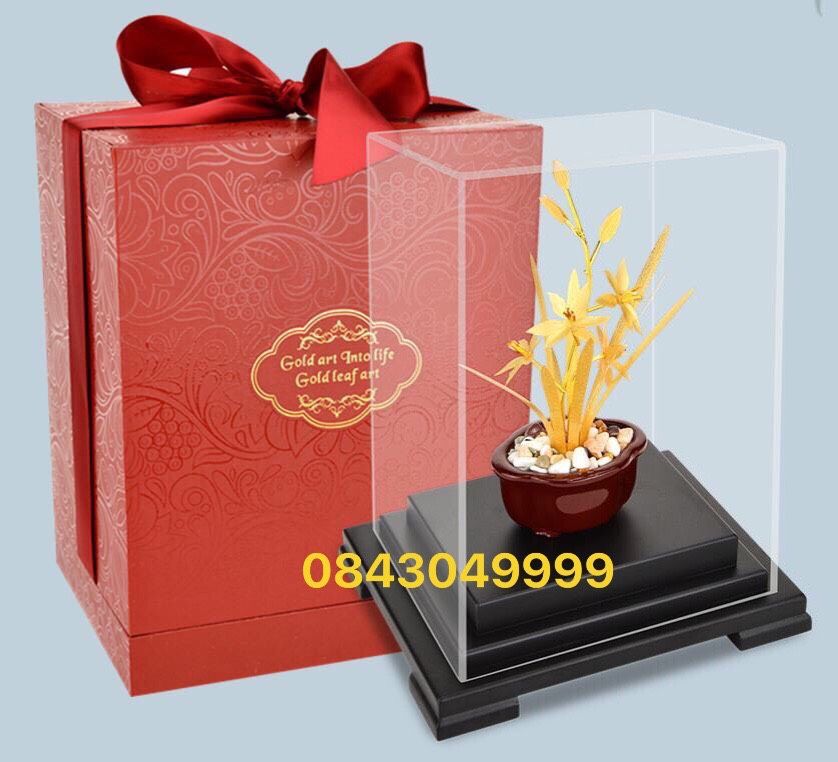 Quà Tặng Hoa Lan Mạ Vàng