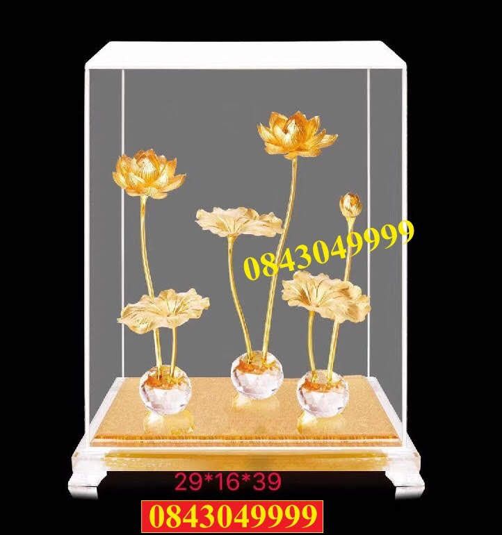 Đầm Sen Đĩa Sứ 15 x 23 x 36