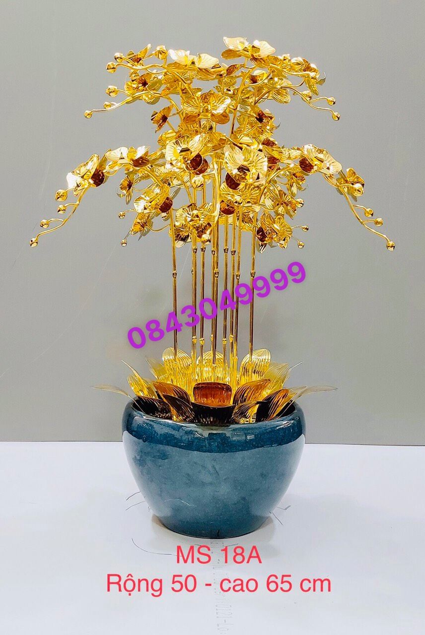 HOA LAN MẠ VÀNG - M16
