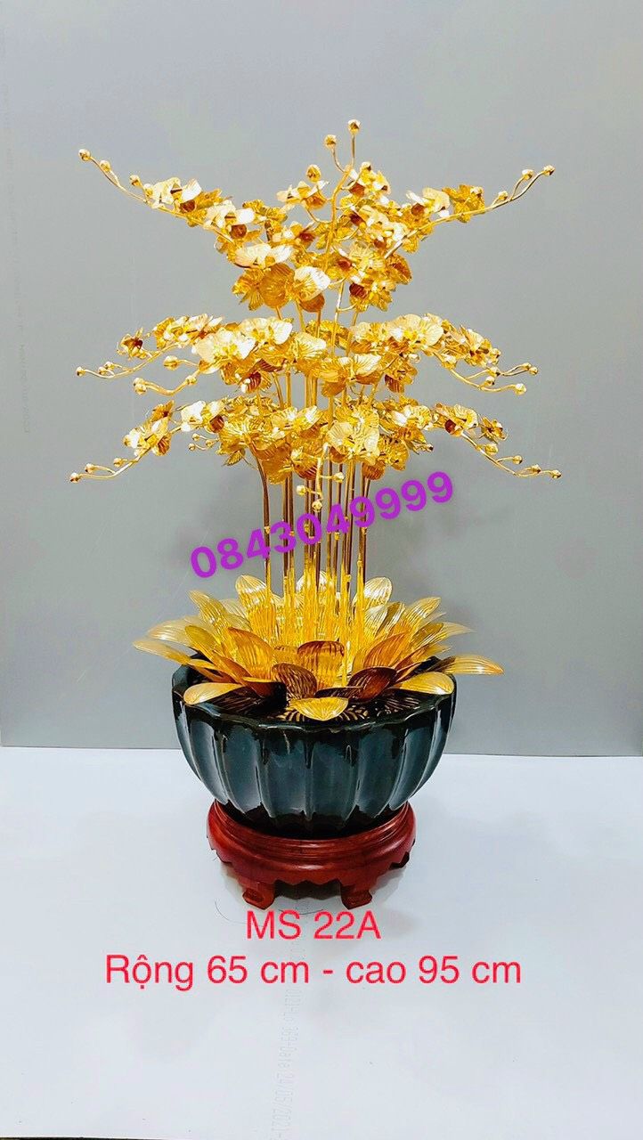 HOA LAN MẠ VÀNG - M22