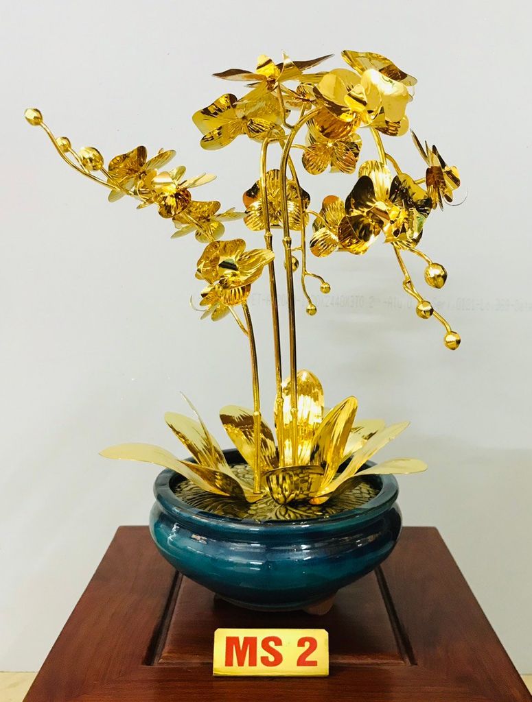Chậu lan mạ vàng M2