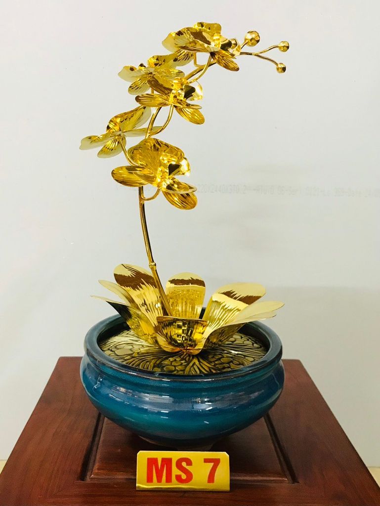 Chậu lan 1 cành mạ vàng M7A