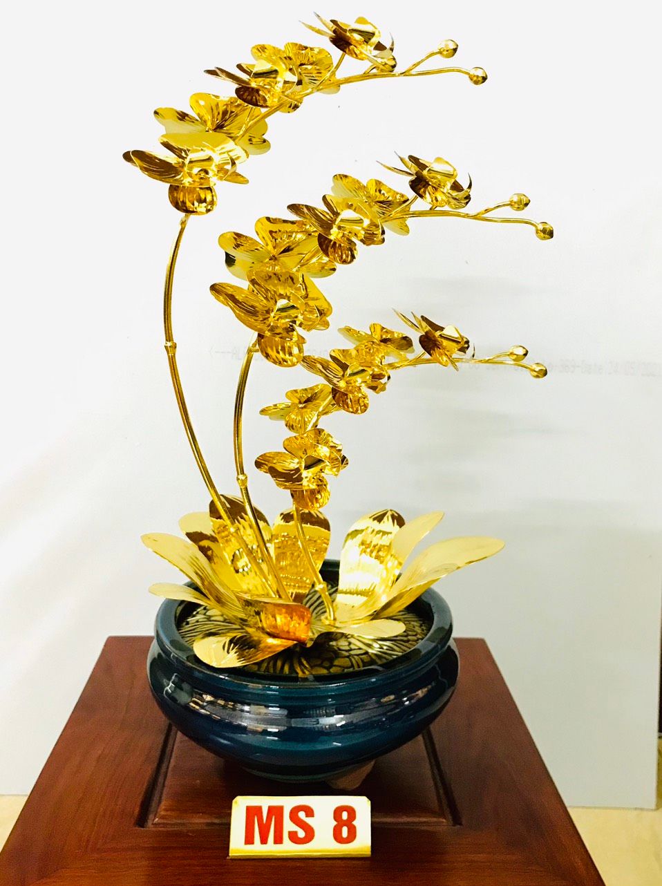Chậu lan 3 cành mạ vàng M8