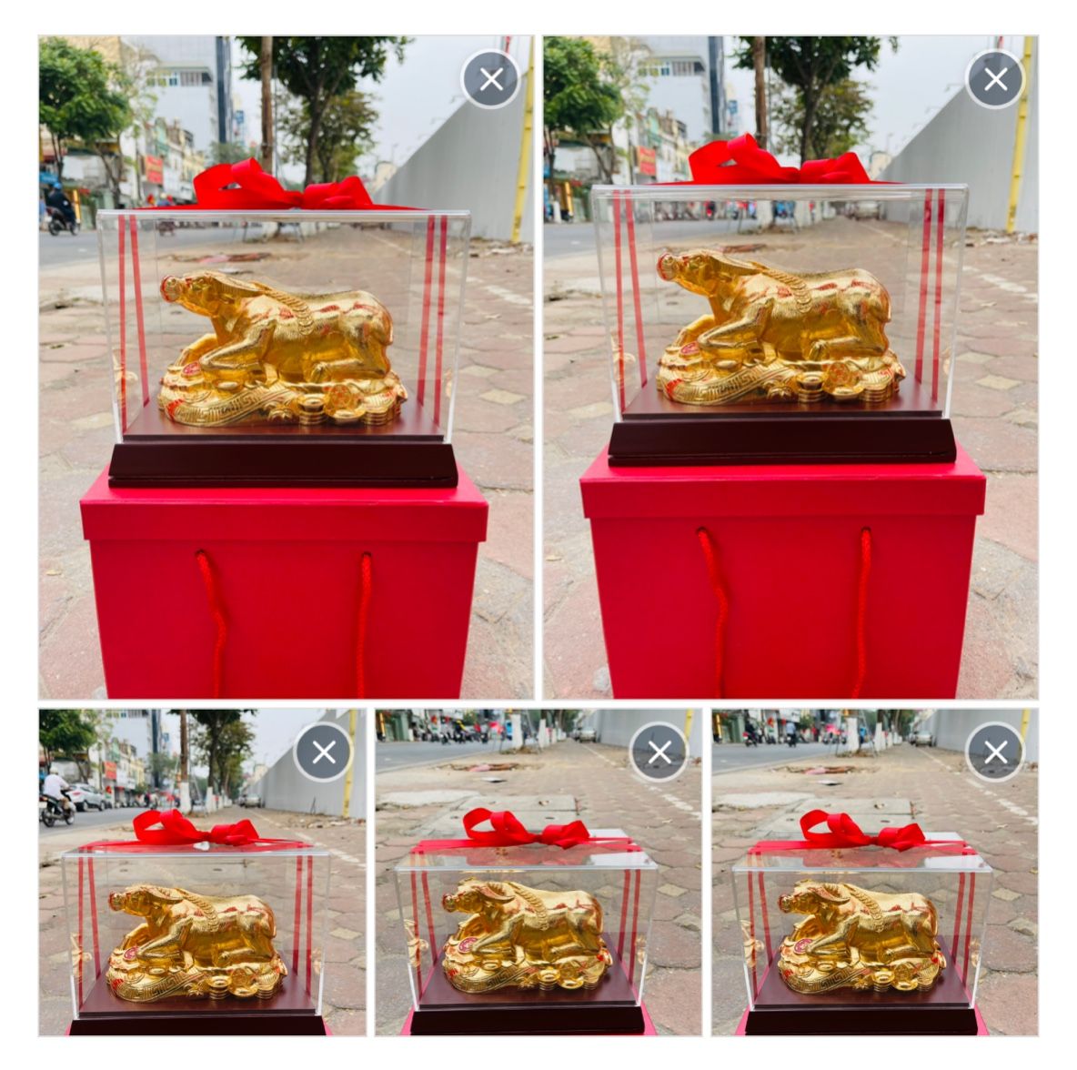 Trâu Mạ Vàng 24K Cao Cấp