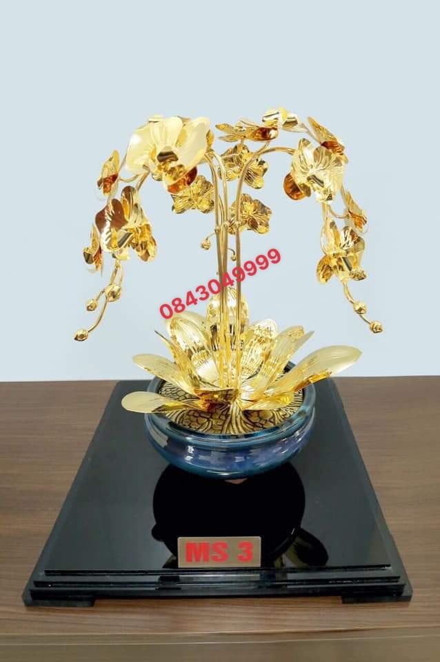 Chậu Hoa Lan Mạ Vàng 24K - 3 Nhánh