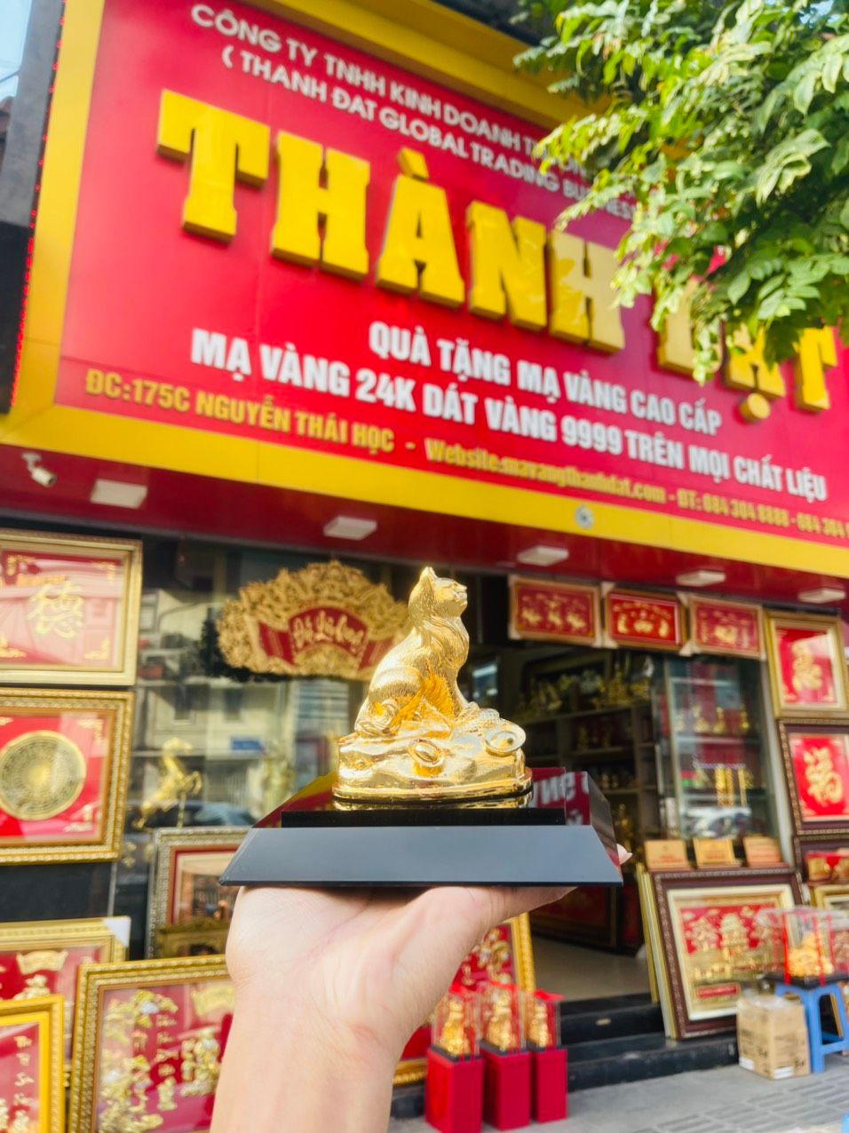 MÈO MẠ VÀNG