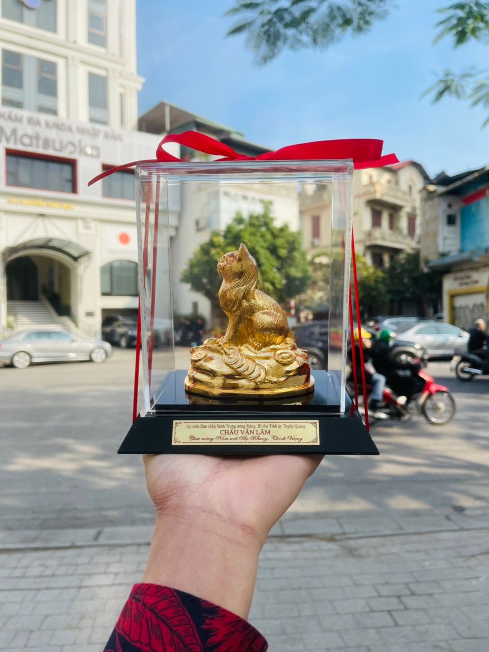 MÈO MẠ VÀNG