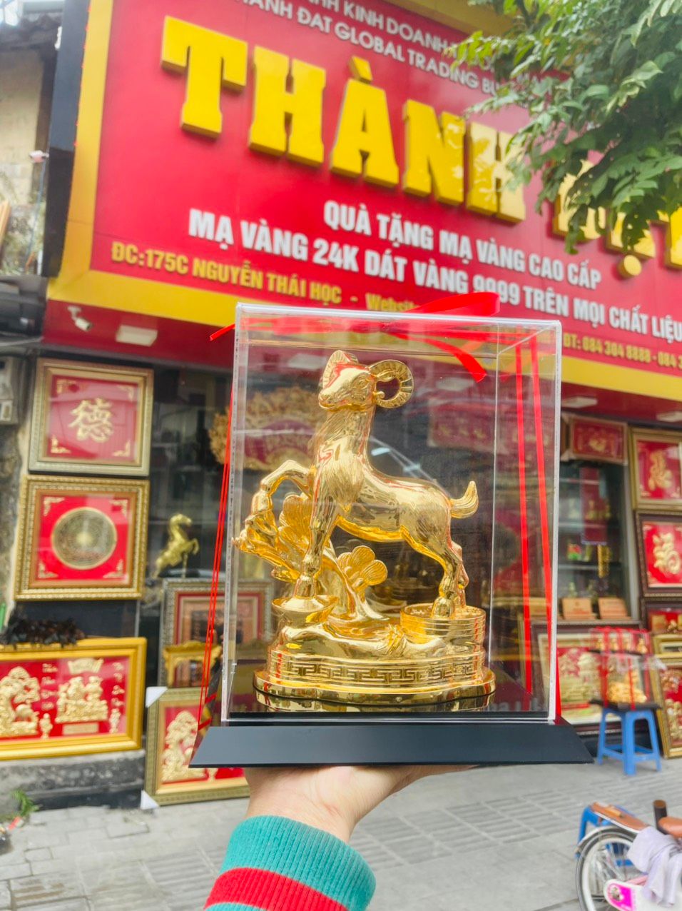  DÊ MẠ VÀNG 