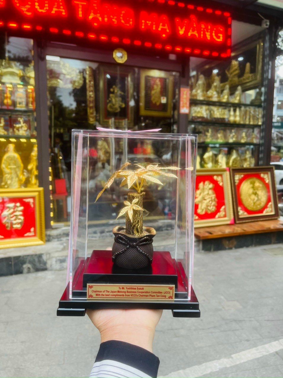 Cây Kim Ngân Mạ Vàng