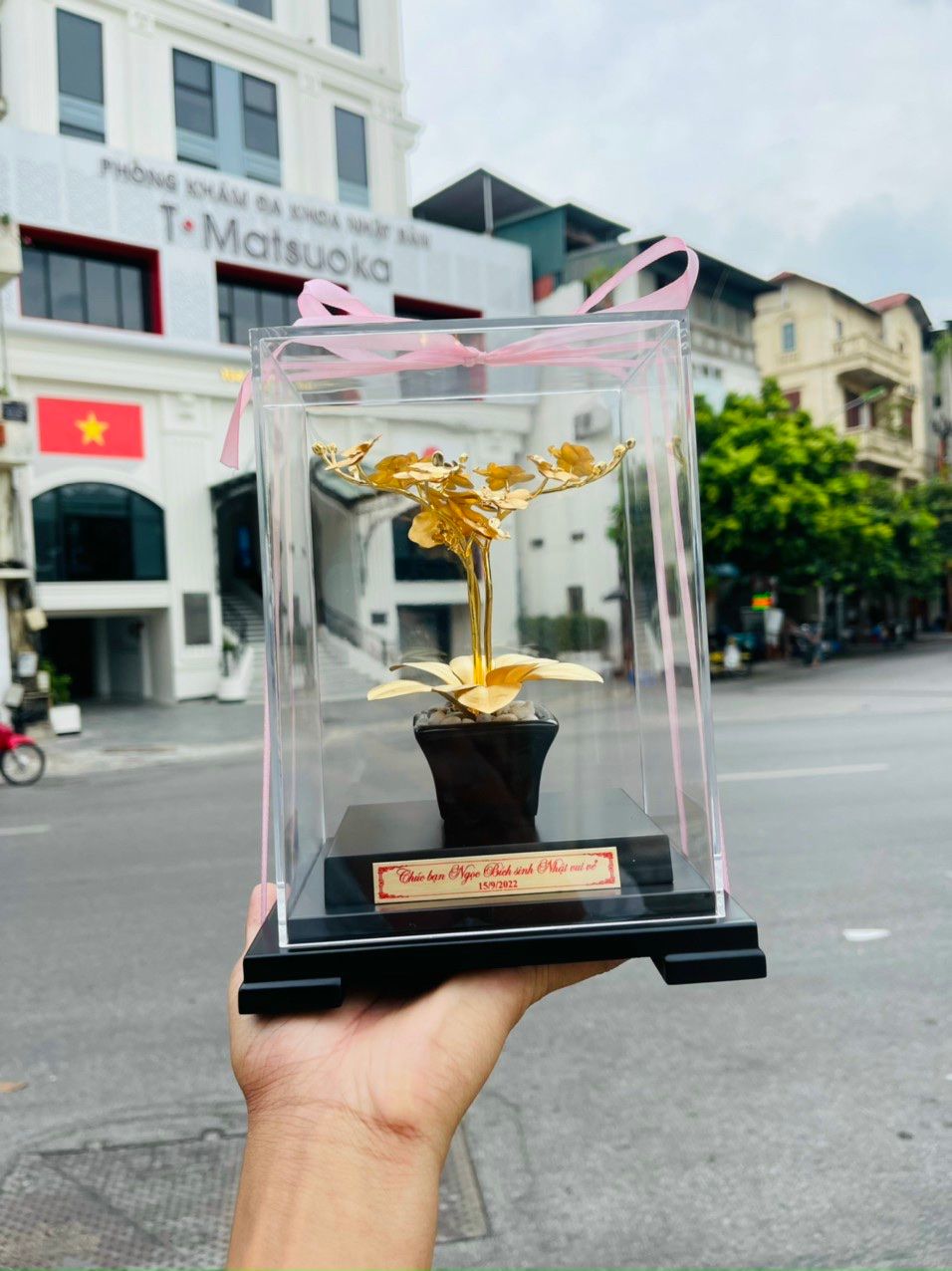 Chậu Lan Mạ Vàng