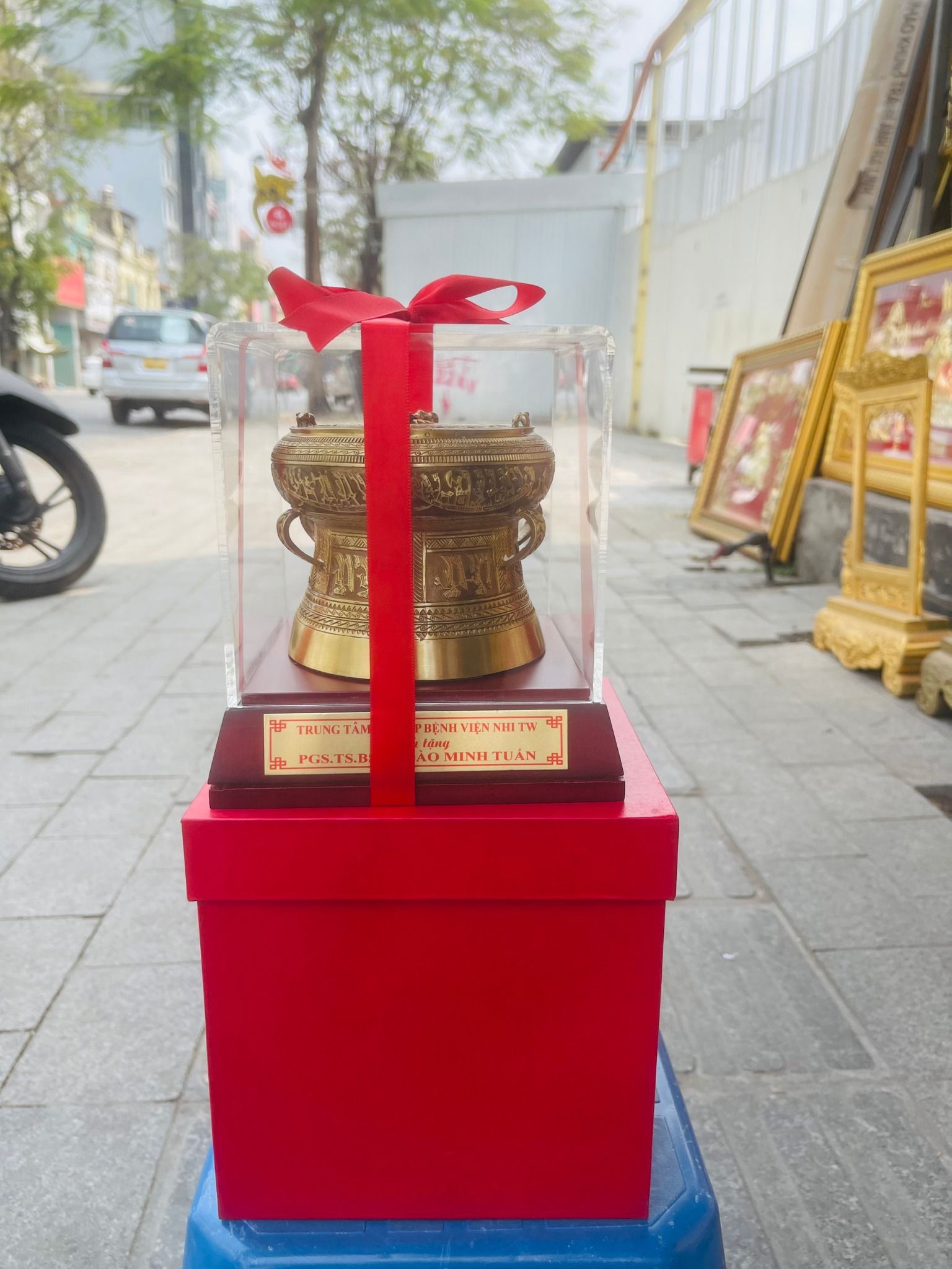 Quả Trống Đồng Phi 10