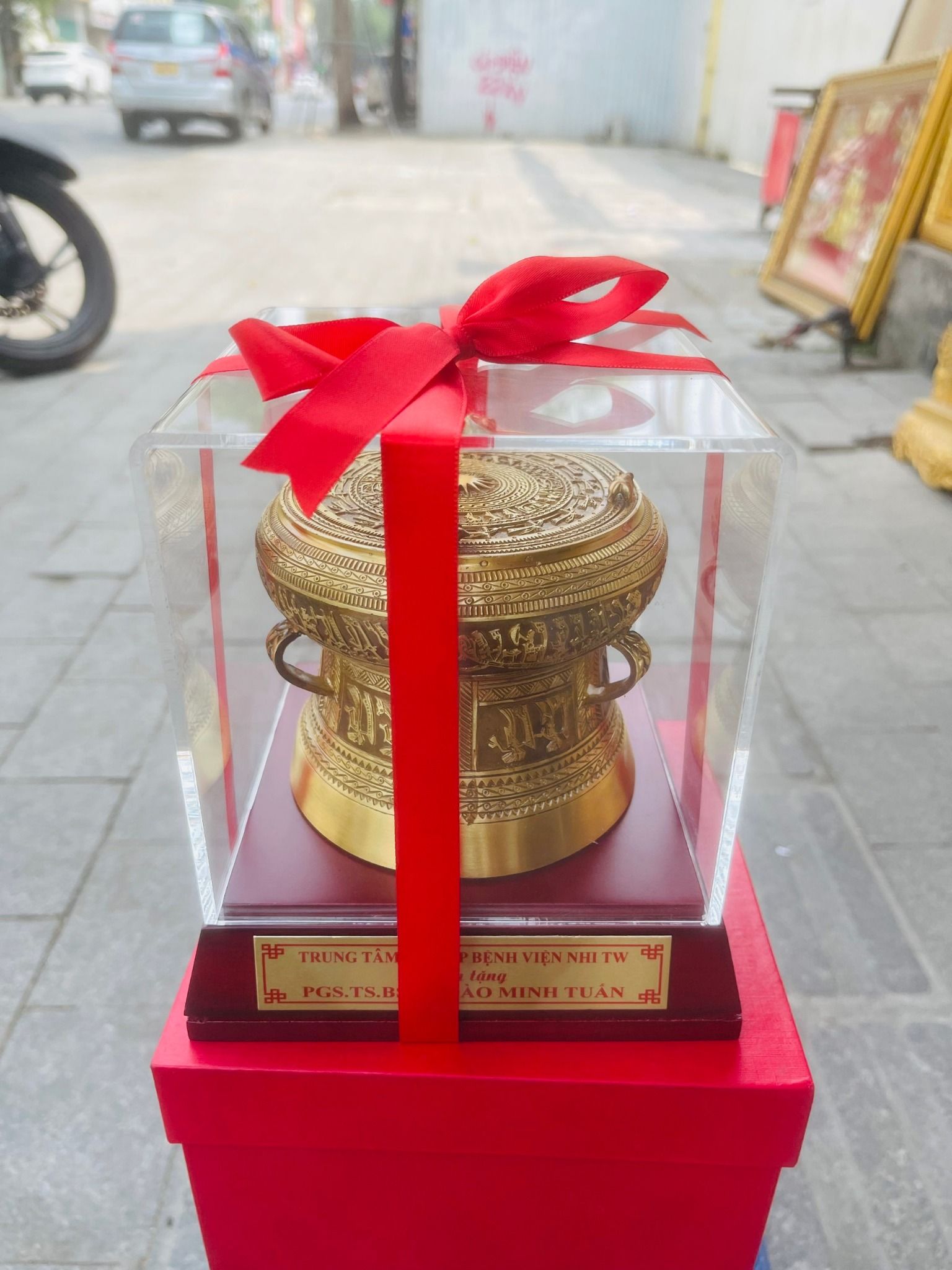 Quả Trống Đồng Phi 10