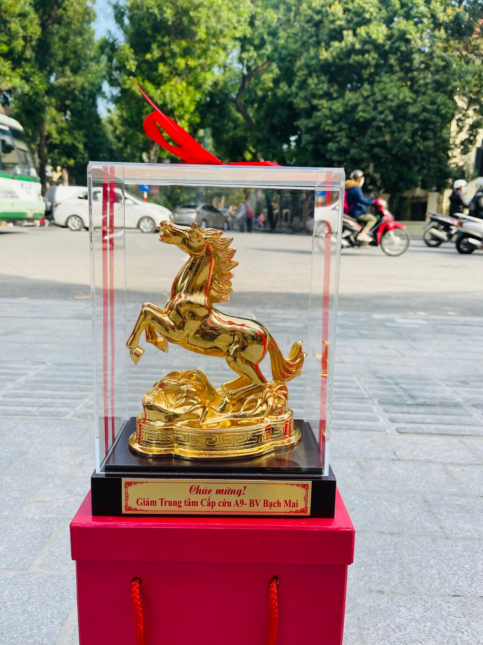 Ngựa Mạ Vàng 24K