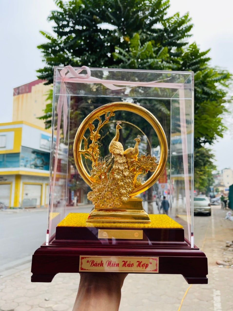 QUÀ TẶNG TÙNG HẠC DIÊN NIÊN MẠ VÀNG