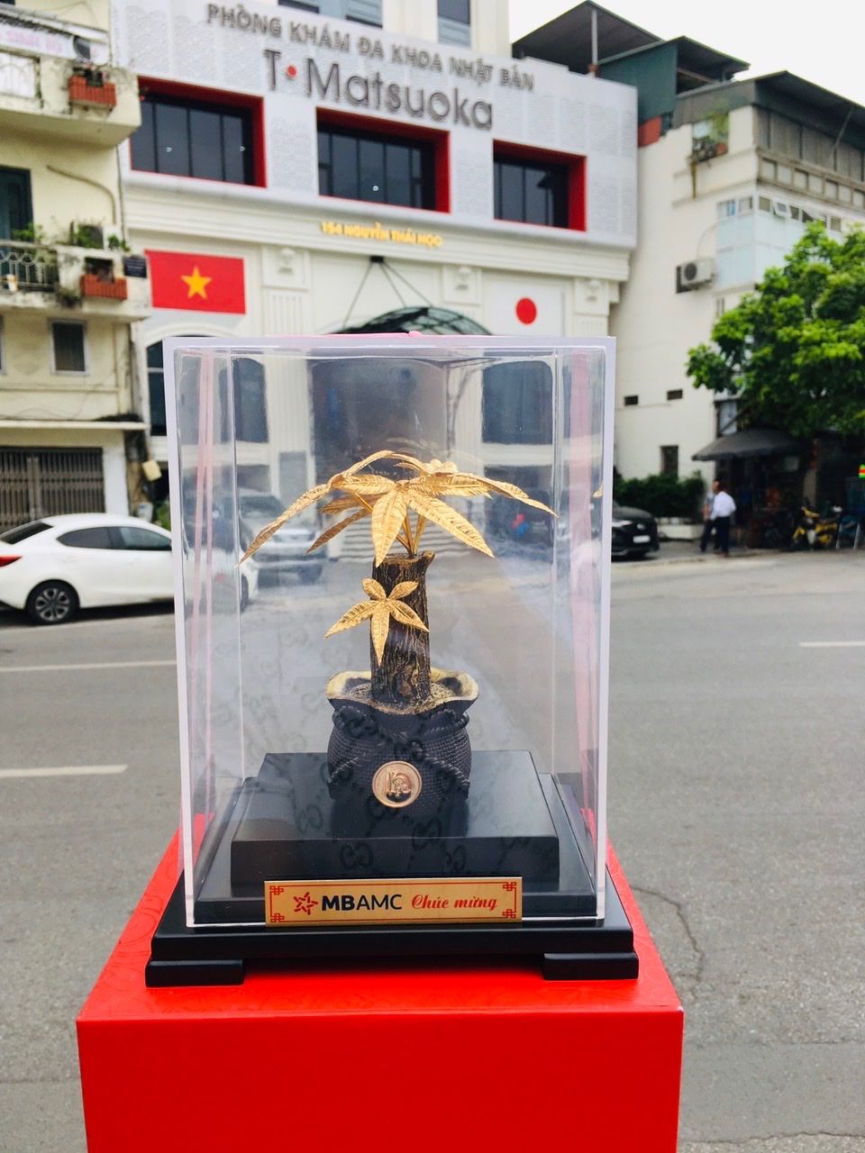 Cây Kim Ngân Mạ Vàng