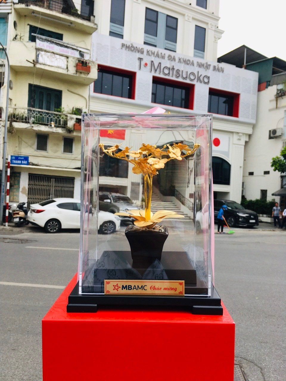 Chậu Lan Mạ Vàng