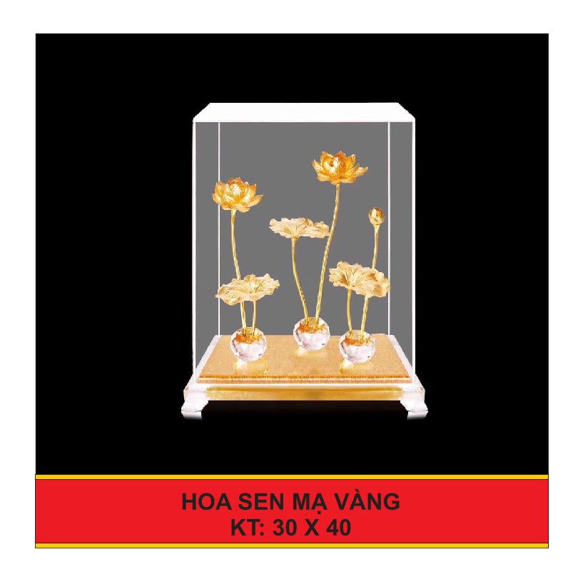 Hoa Sen Mạ Vàng 3 Nhánh