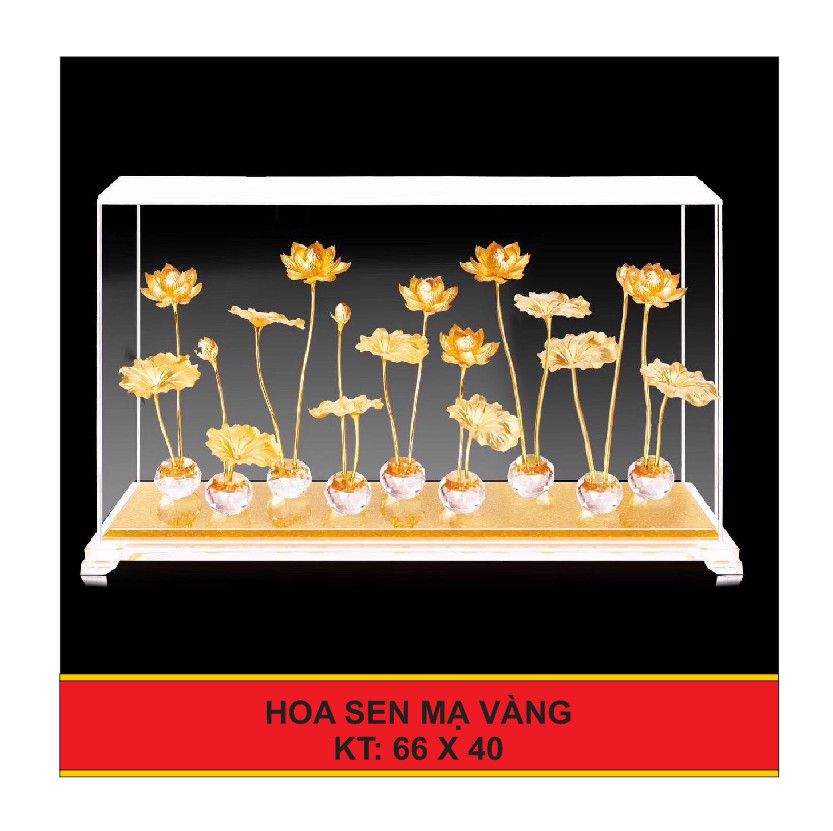 Hoa Sen Mạ Vàng 3 Nhánh