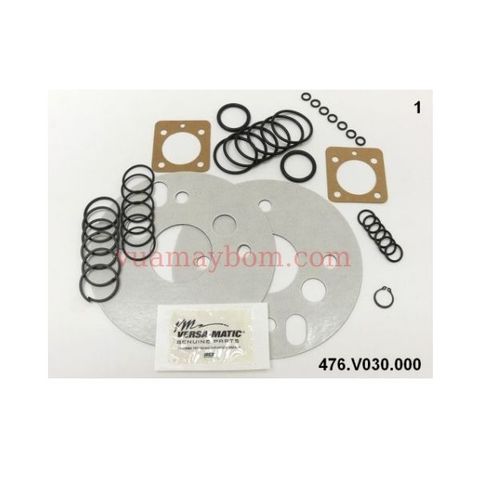 Air valve kit 476.V030.000