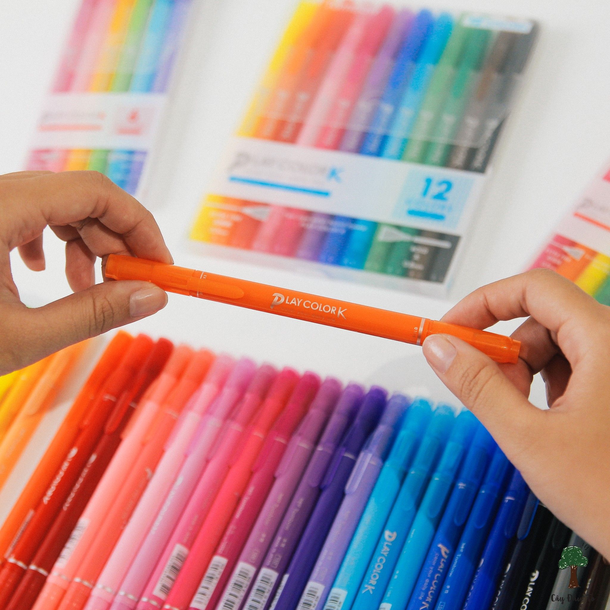 BÚT 2 ĐẦU PLAYCOLOR K