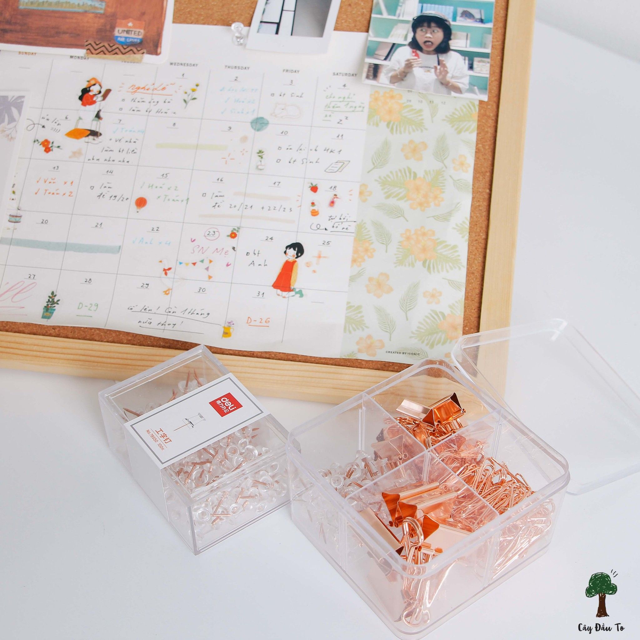SET ĐINH GHIM-KẸP GIẤY ROSE GOLD DELI