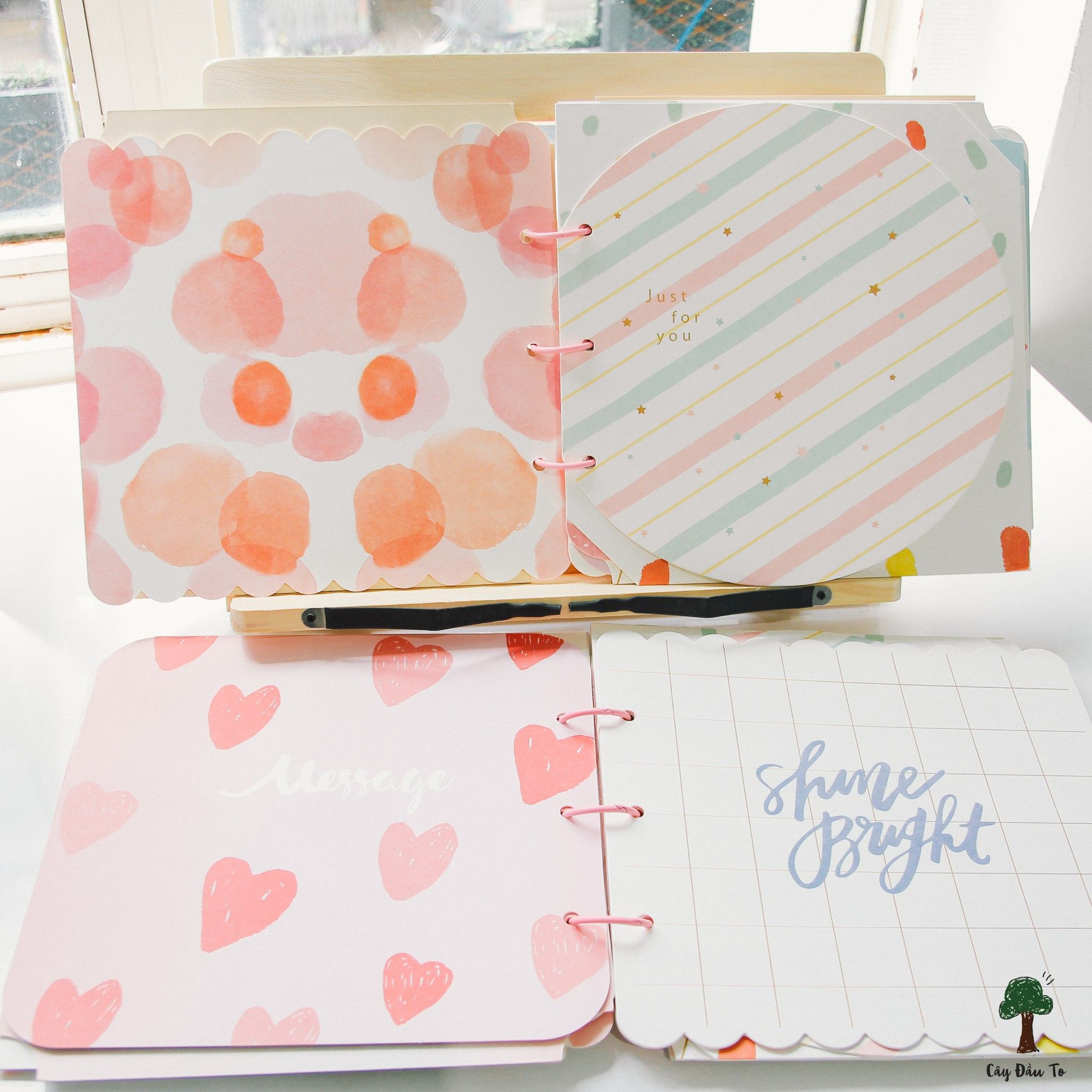 ALBUM DIY FAT ORANGE CAT