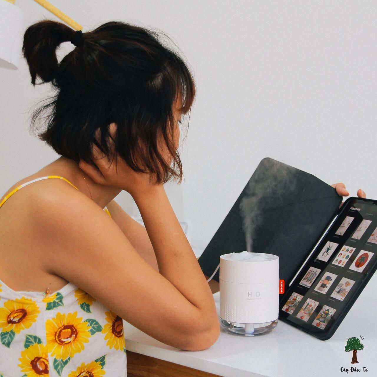 Máy Phun Sương Sóng Nước H2O