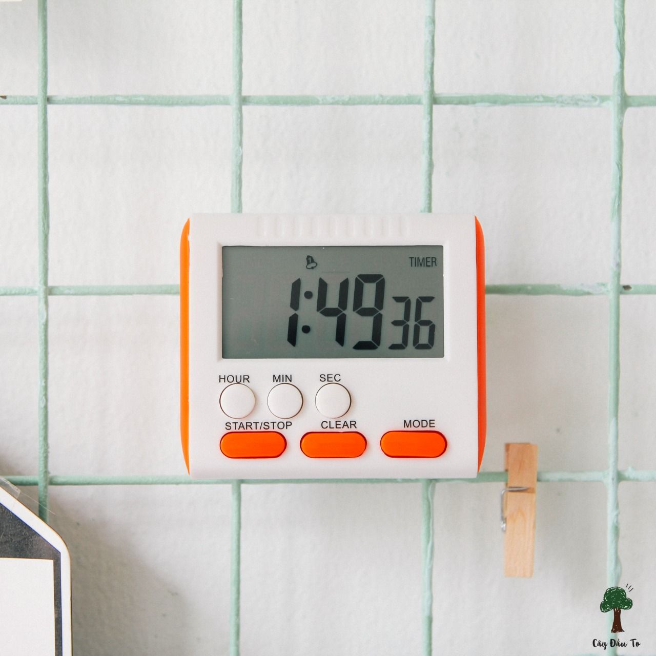 24 HOUR TIMER