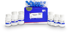 SPINEASY® PLASMID MIDIPREP KIT