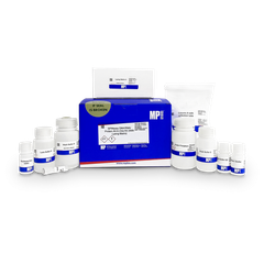 SPINeasy DNA/RNA/Protein All-In-One Kit, 50 kits