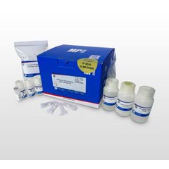 SPINeasy Host Depletion Microbial DNA Kit