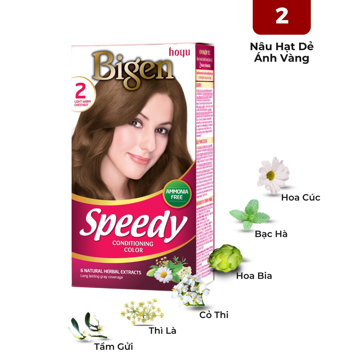 Nhuộm Phủ Bạc Thời Trang Bigen Số 2 - Nâu Hạt Dẻ Ánh Vàng