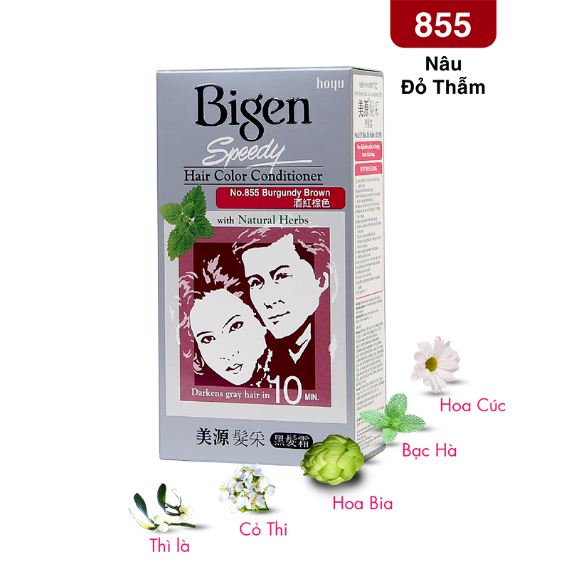  Bigen Xám - 855 Nâu Đỏ Thẫm 