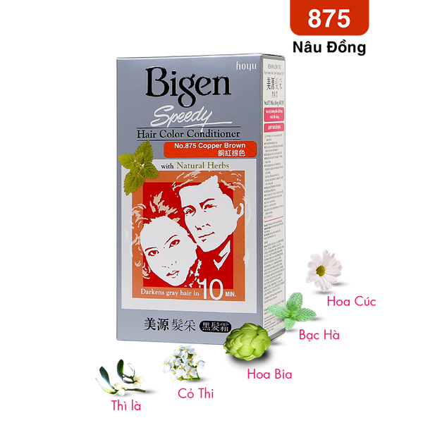  Bigen Xám 875 - Nâu Đồng 