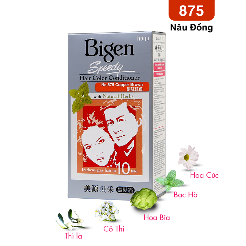  Bigen Xám 875 - Nâu Đồng 