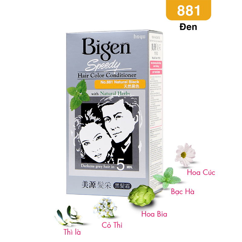 Nhuộm Phủ Bạc Bigen Xám 881 - Đen