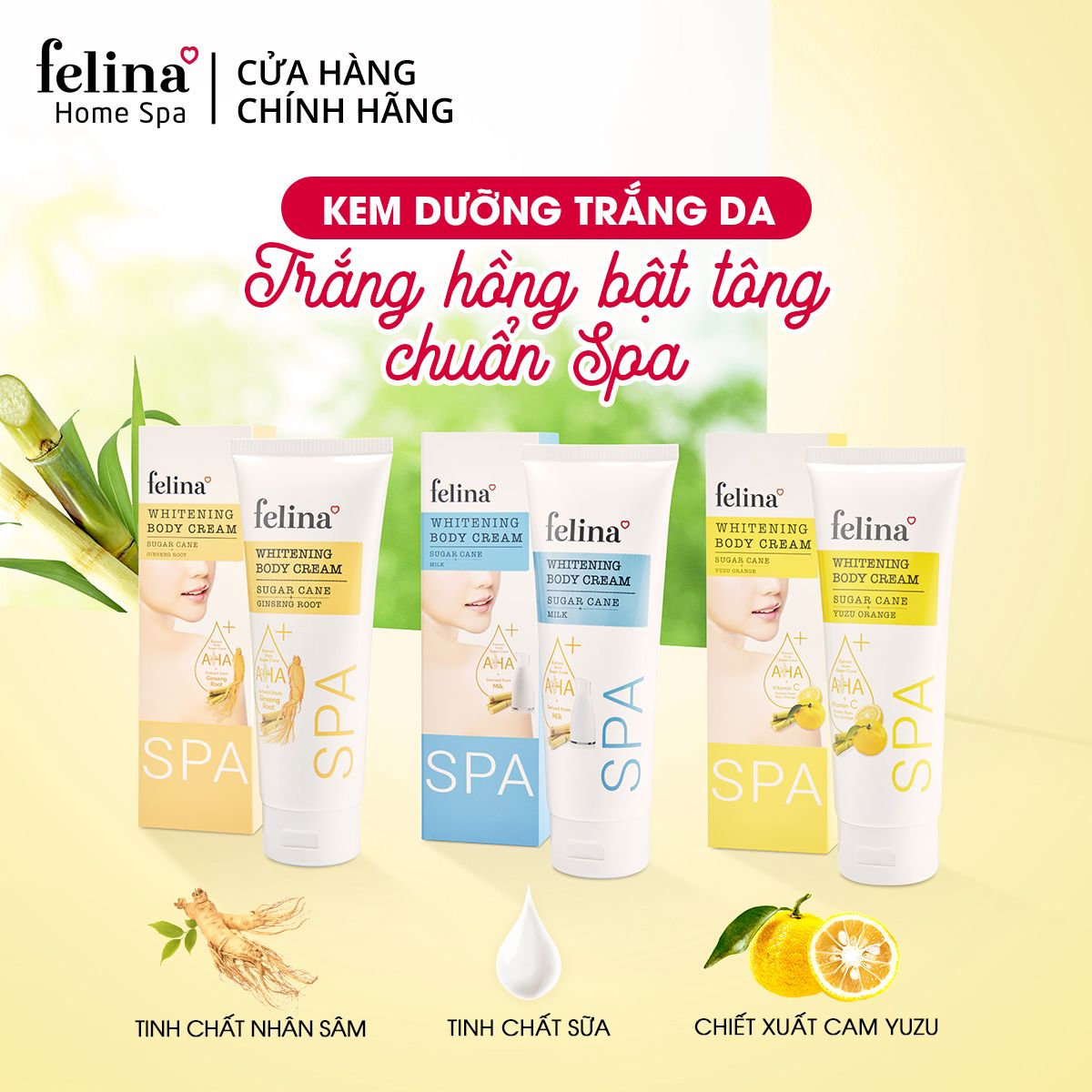 Kem Dưỡng Trắng Da Toàn Thân Chiết Xuất Đường Mía & Tinh Chất Nhân Sâm - 