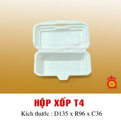 QQ-0008 - Hộp xốp T4