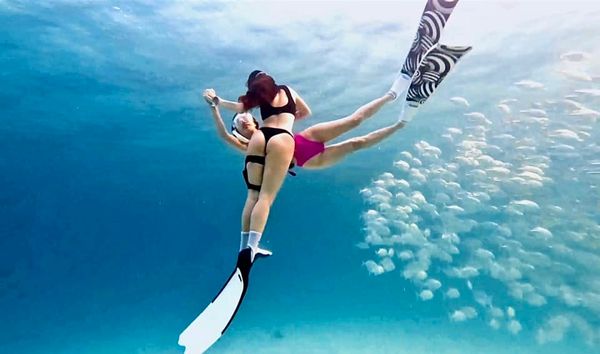 Chân nhái lặn Freedive Việt Nam