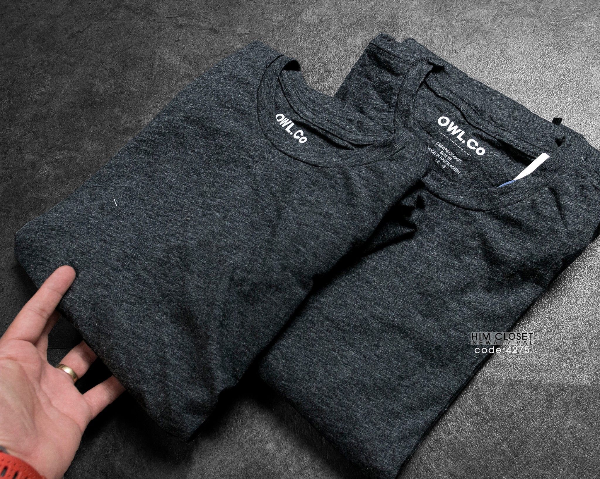 Longtee Owl