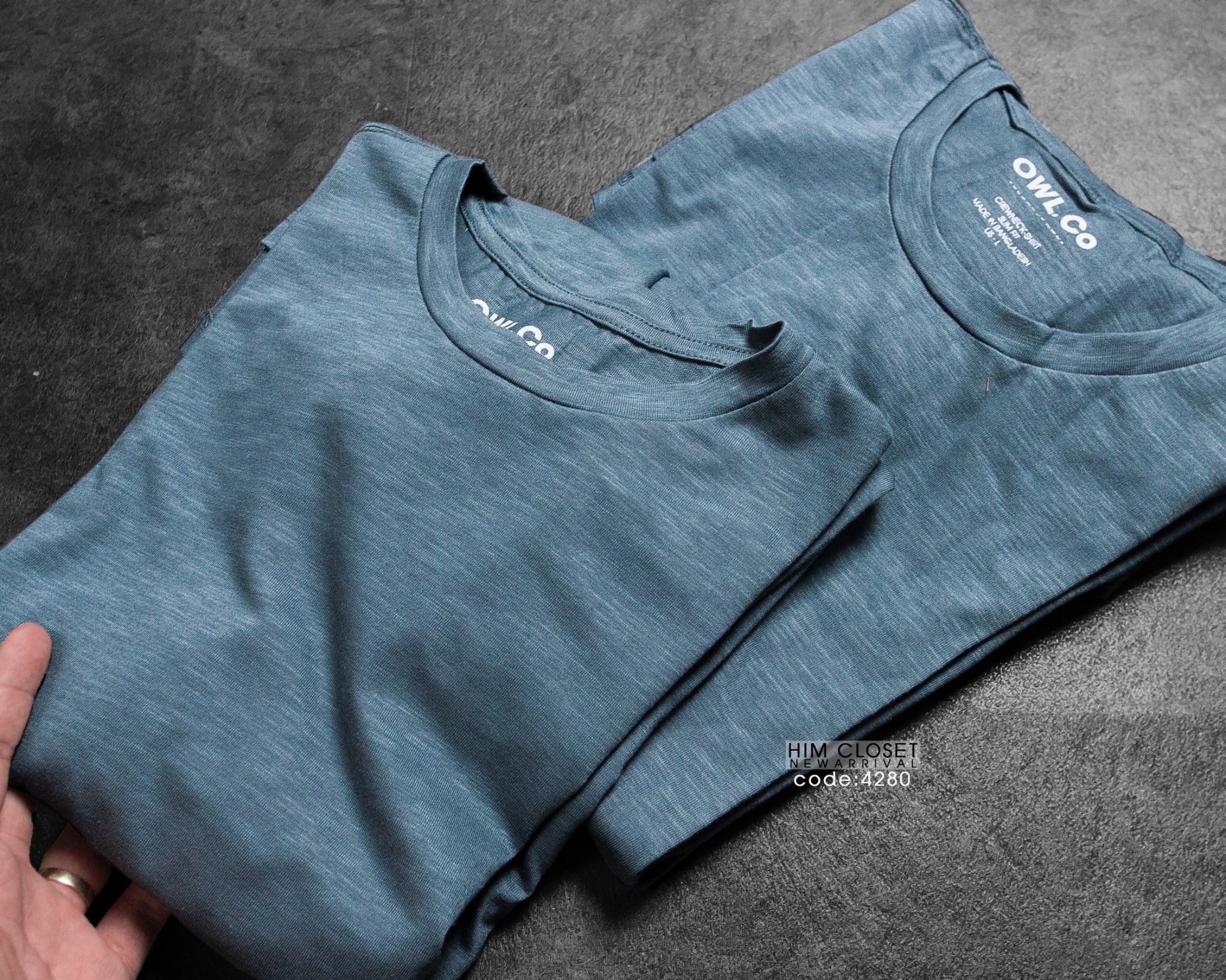 Longtee Owl