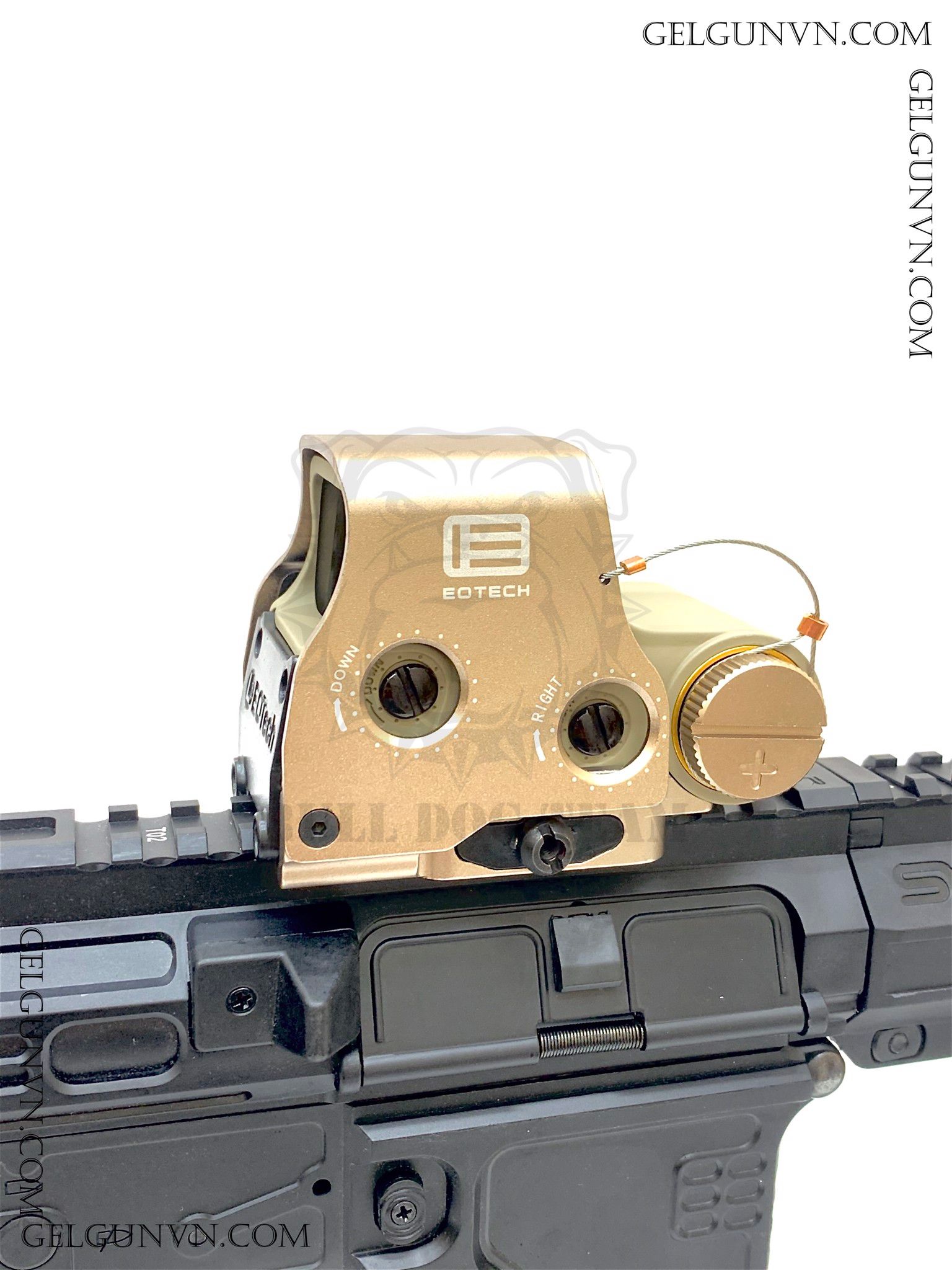 Holo 558 Kim Loại