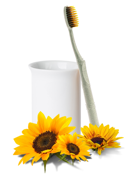 Bizs+ Sunflower Toothbrush