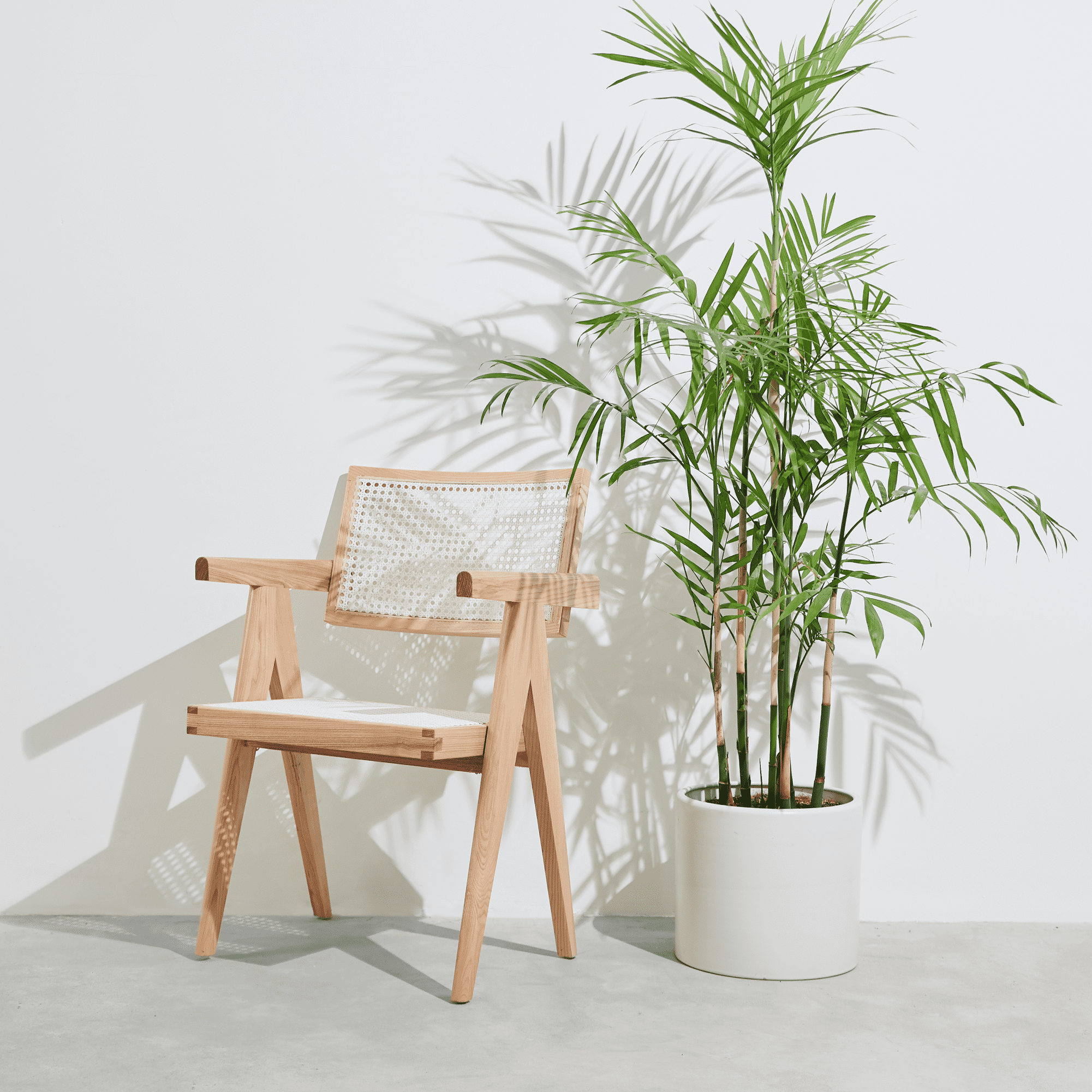  Ghế 1955 by Pierre Jeanneret - Natural 